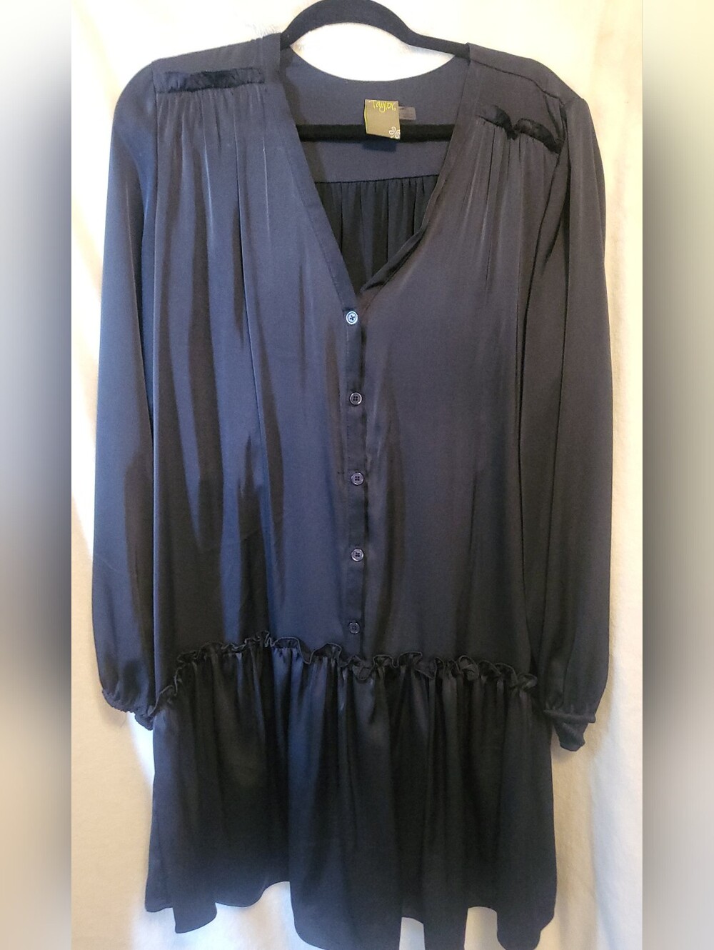 Taylor satin mini dress featuring a button-down front, long sleeves, ruffled hem